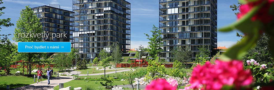 Rozkvetlý park